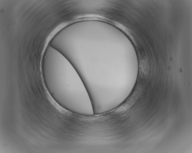 X0000070191482200605260952