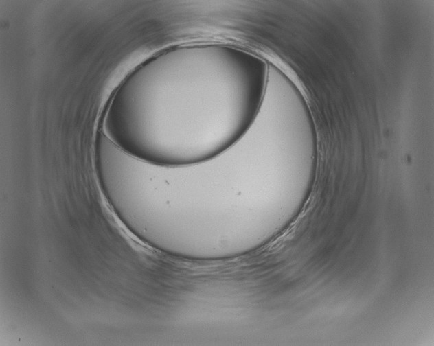 X0000070191485200605260952