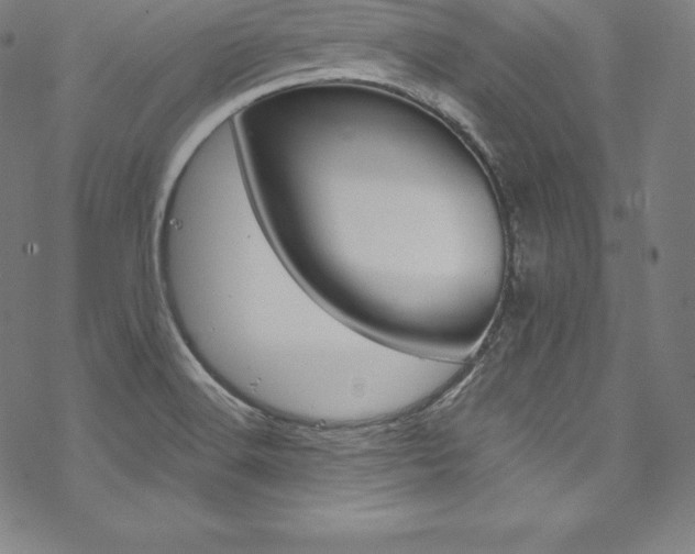 X0000070191516200605260952