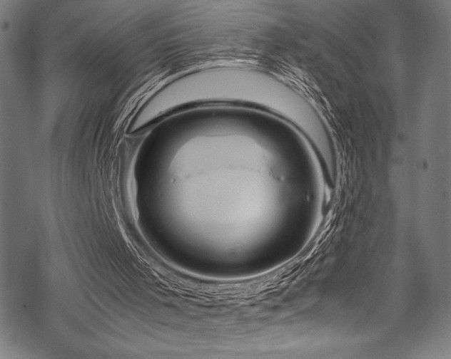 X0000070190001200605261209