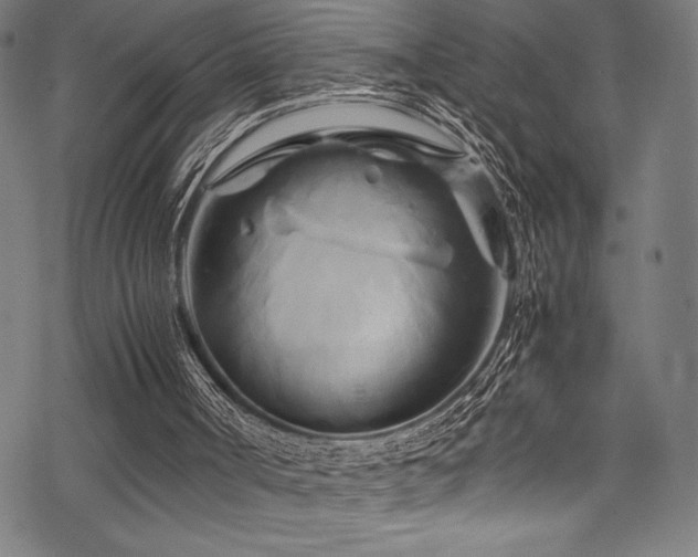 X0000070190002200605261209