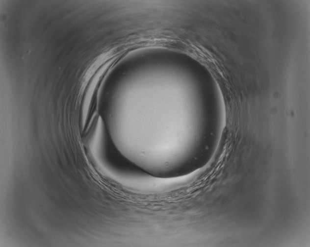 X0000070190003200605261209