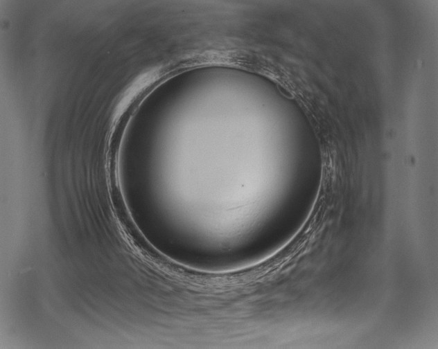 X0000070190006200605261209