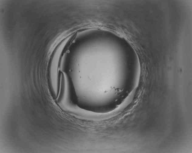 X0000070190007200605261209