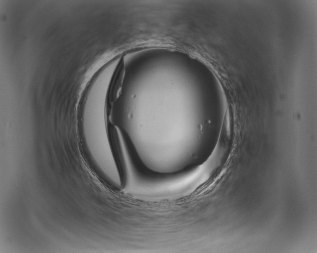 X0000070190008200605261209