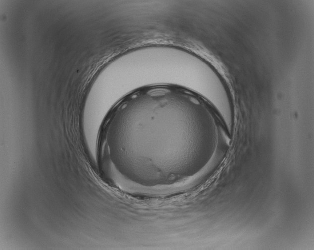 X0000070190009200605261209