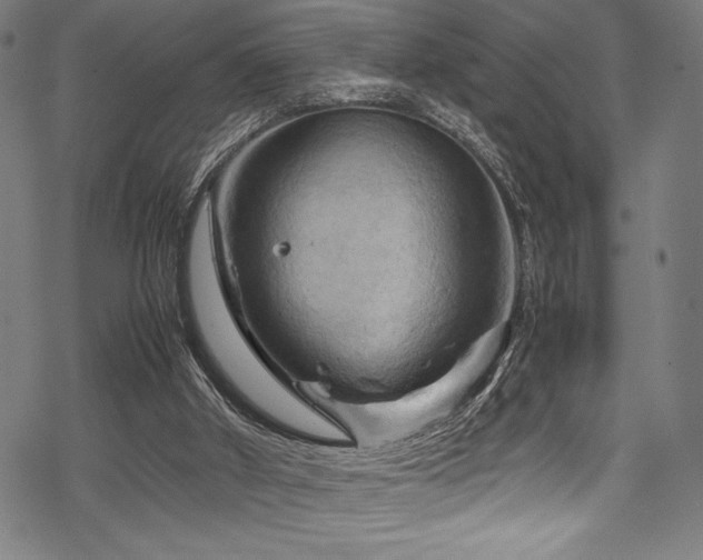 X0000070190010200605261209