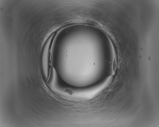 X0000070190011200605261209