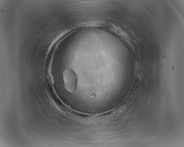 X0000070190012200605261209