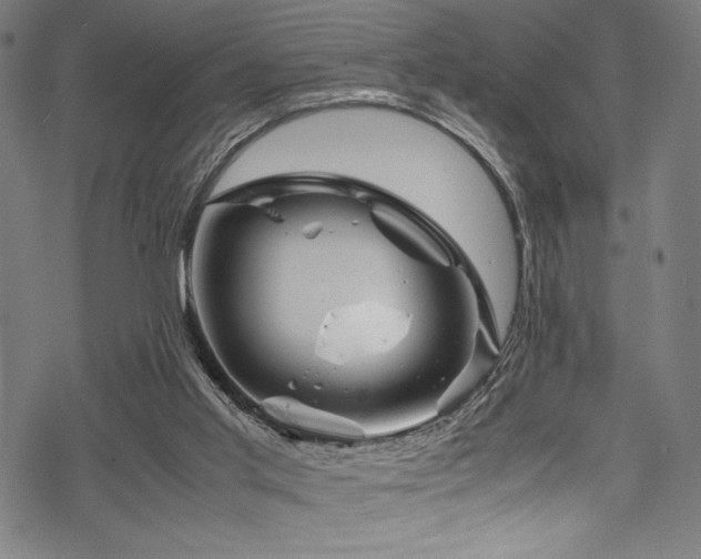 X0000070190013200605261209