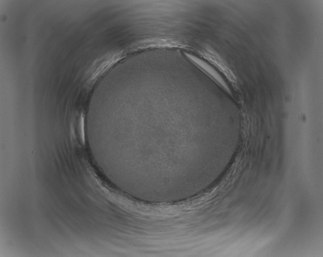 X0000070190014200605261209