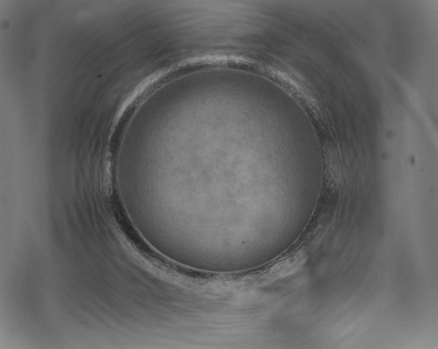 X0000070190016200605261209