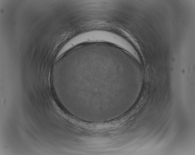 X0000070190018200605261209