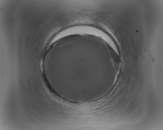 X0000070190019200605261209