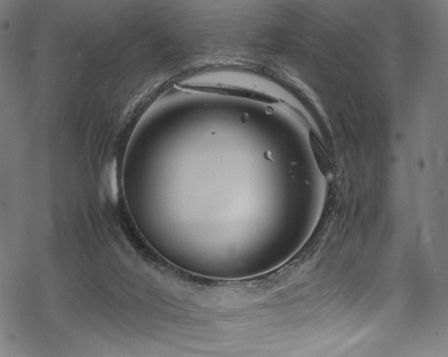 X0000070190020200605261209