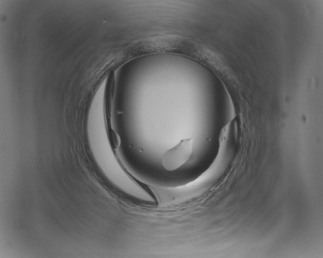 X0000070190021200605261209