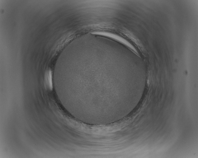 X0000070190022200605261209