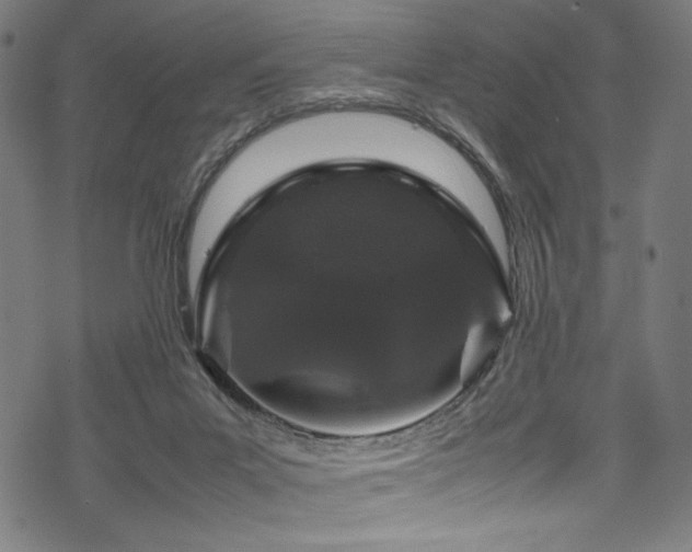 X0000070190023200605261209