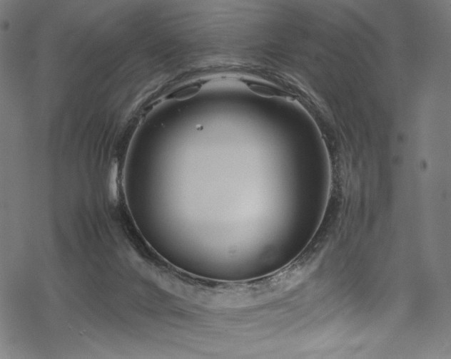 X0000070190024200605261209