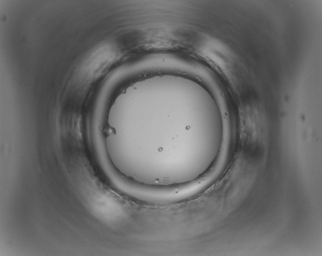 X0000070190025200605261209