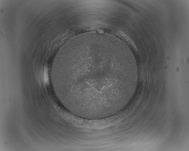 X0000070190026200605261209