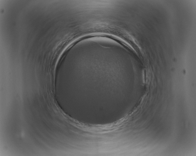 X0000070190027200605261209