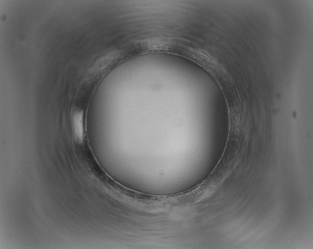 X0000070190028200605261209