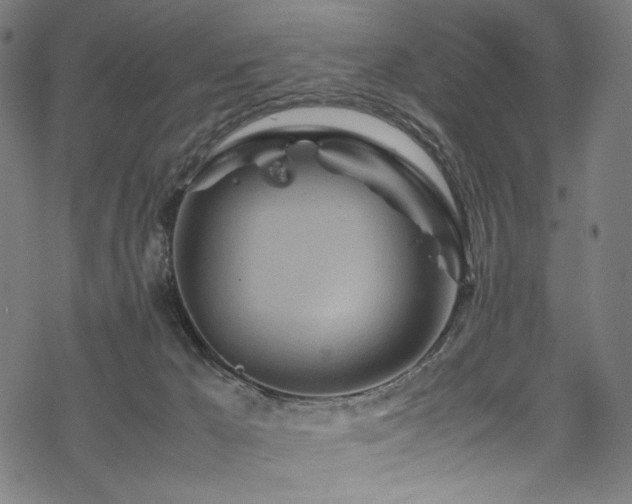 X0000070190029200605261209