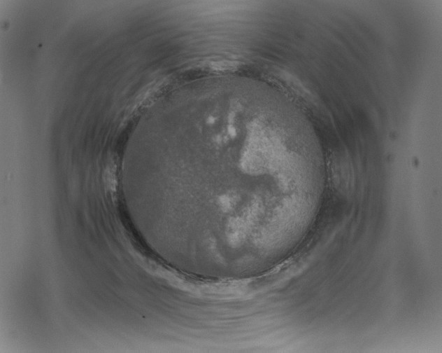 X0000070190032200605261209