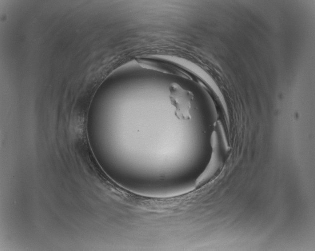 X0000070190033200605261209