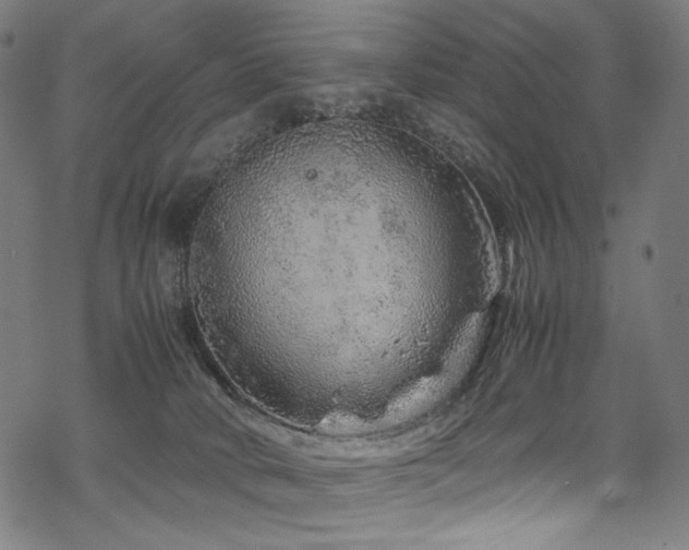 X0000070190034200605261209