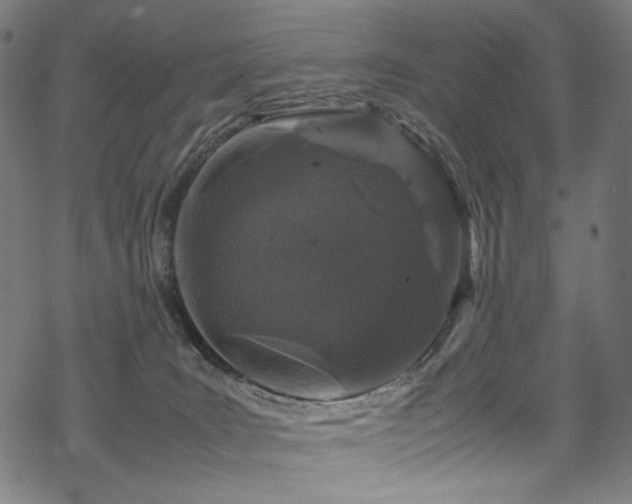 X0000070190035200605261209