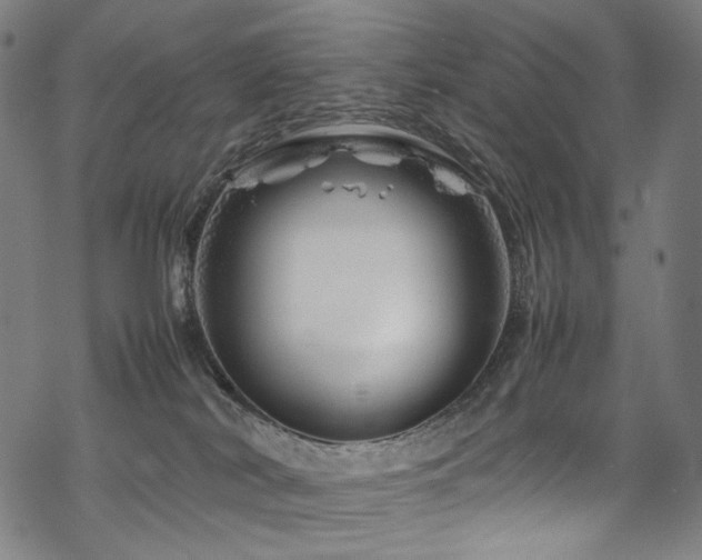 X0000070190038200605261209