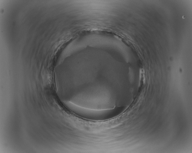 X0000070190039200605261209