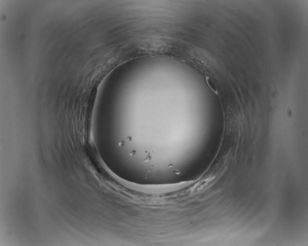 X0000070190040200605261209