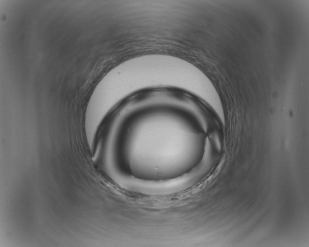 X0000070190041200605261209