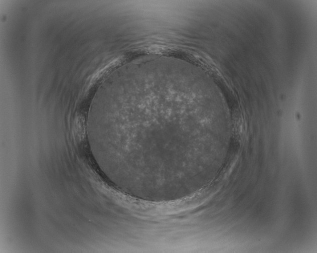 X0000070190043200605261208