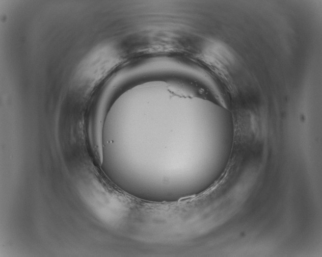 X0000070190045200605261208