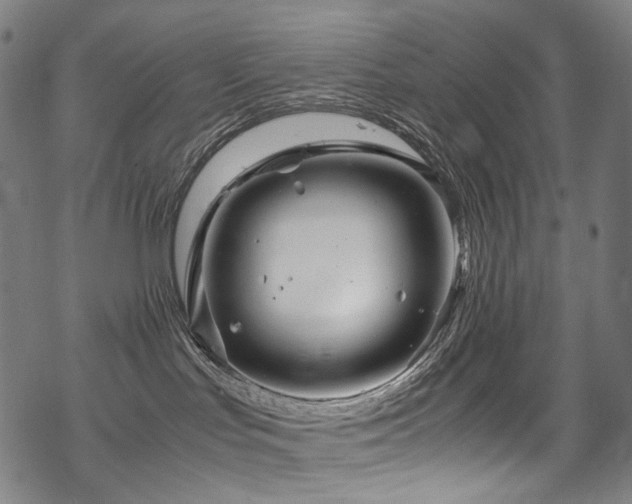 X0000070190047200605261208