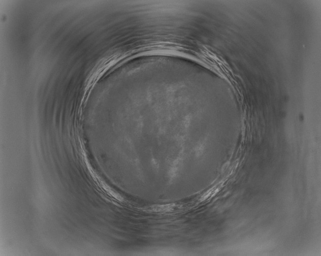 X0000070190049200605261208