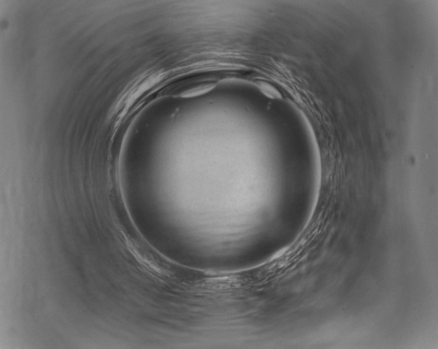 X0000070190050200605261208