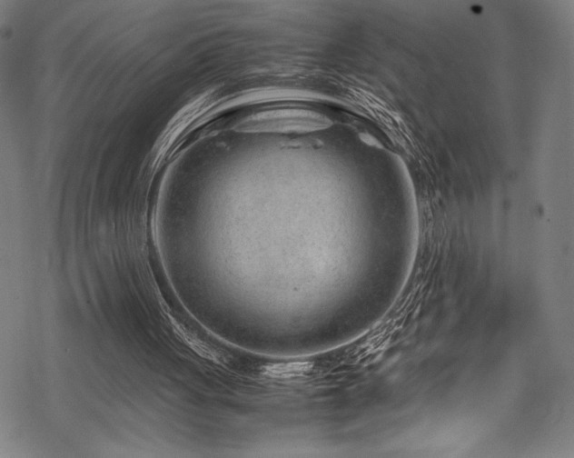 X0000070190051200605261208