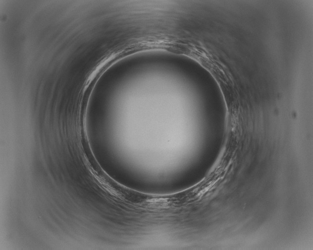 X0000070190052200605261208