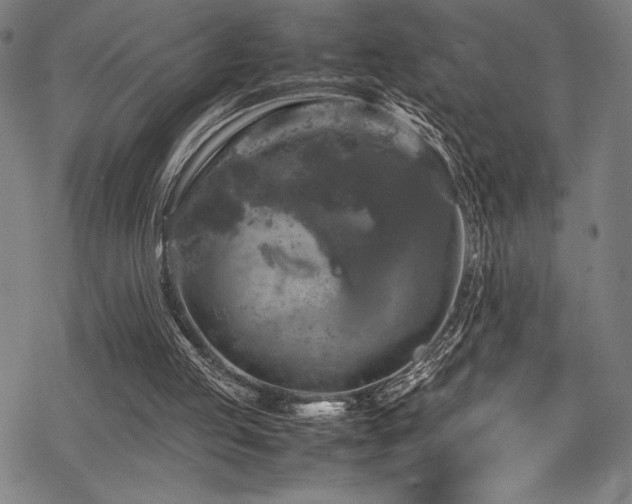 X0000070190053200605261208