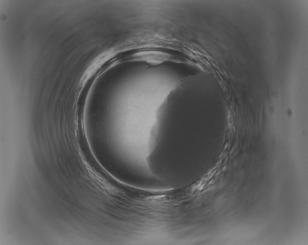 X0000070190054200605261208