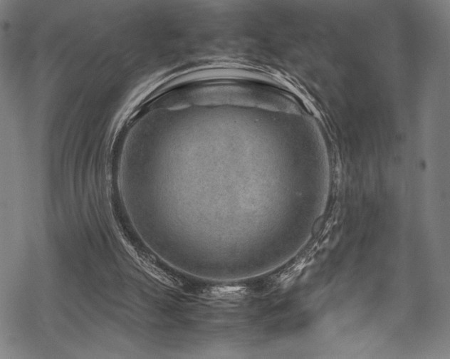 X0000070190055200605261208