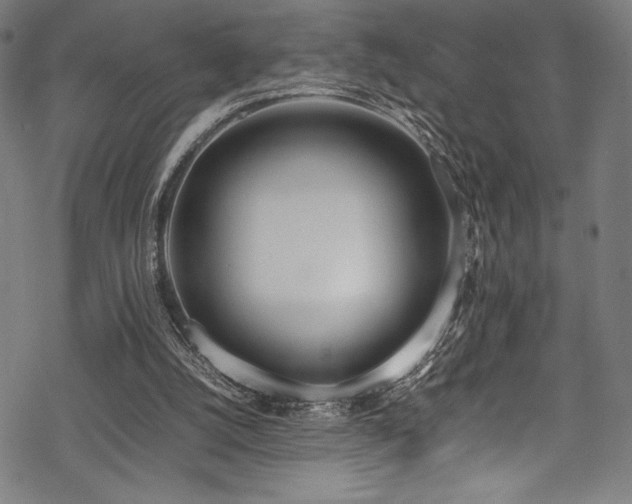 X0000070190056200605261208