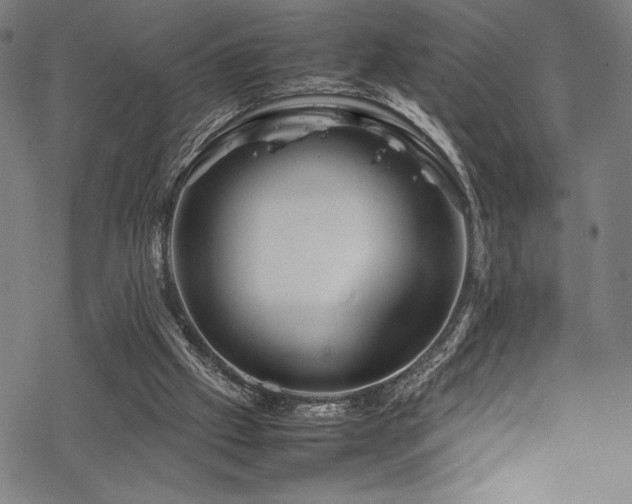 X0000070190057200605261208