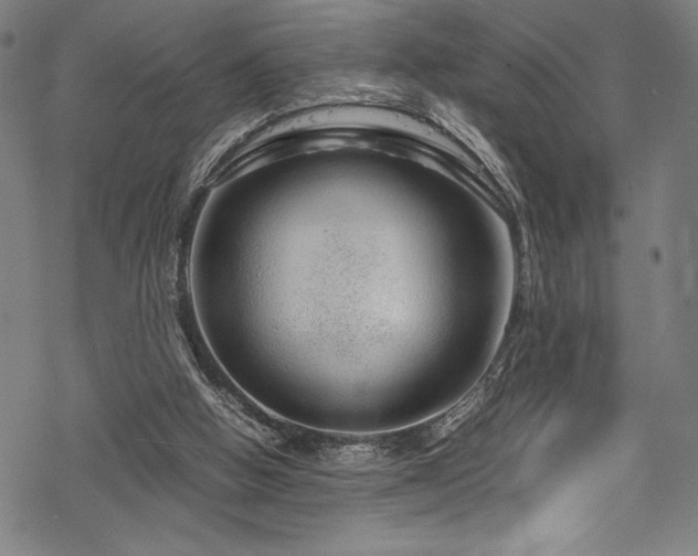 X0000070190058200605261208