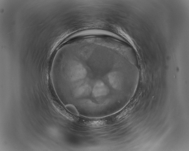 X0000070190059200605261208